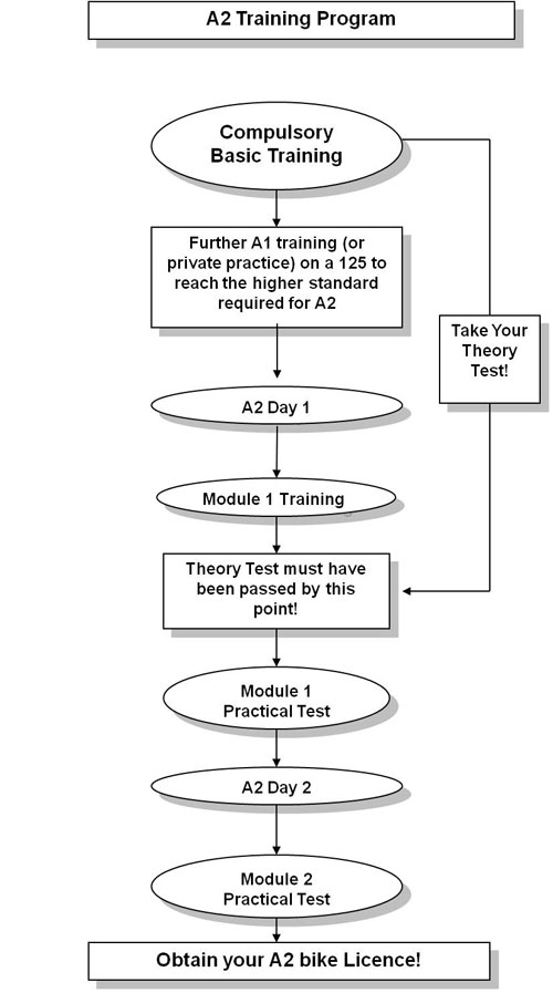 A1 training flowchart